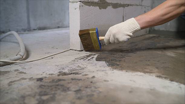 Top rated local Waterproofing specialists in Loretto, TN